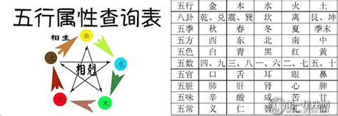 五行屬性字|汉字五行属性查询